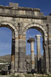 Image du Maroc Professionnelle de  Une cigogne niche au sommet d'un pilier à travers les arches de la basilique, le principal bâtiment administratif de Volubilis, l'un des sites les mieux préservés au Maroc et le plus visité. Il se situe à proximité de Moulay Idriss Zerhoun à une trentaine de km au nord-ouest de Meknès, photo prise le jeudi 8 Mars 2012. Volubilis ville antique berbère Walili (Lauriers rose) qui date du 3e siècle avant J.-C. capitale du royaume de Maurétanie fondé comme seconde capital sous le règne de Juba II. (Photo / Abdeljalil Bounhar)
